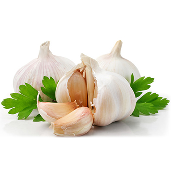dehydrated_garlic